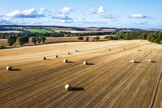 Straw bales in the Scottish fields from a drone, Southeast Scotland, UK