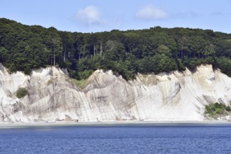 Chalk coast at Jasmund National Park on Rügen, Mecklenburg-Western Pomerania, Germany