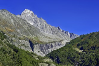 Aiguille du Chardonnet, front foothills of the Argentière glacier, Argentière, Chamonix-Mont-Blanc,