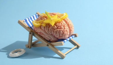 Brain relaxes on a sunbed under the summer sun, placed on a flat surface, symbol for mental health,