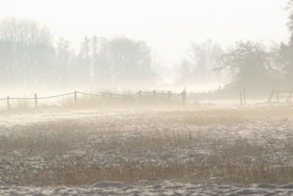 Winterlandschaft, aufsteigender Bodennebel im Licht der Morgensonne, Nordrhein-Westfalen,