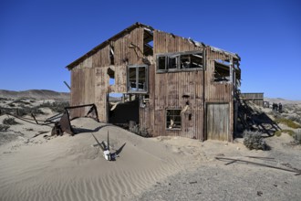 Schädel einer Oryx-Altilope (Oryx gazella) vor einer Ruine der ehemaligen Diamantenstadt Pomona,