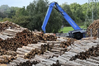 Wood storage and mechanical log transport on the premises of Energie-Mann in the Westerwald. Wood