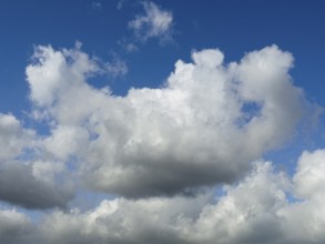White light-coloured cumulus clouds Cumulus clouds Dense water clouds under a blue sky,