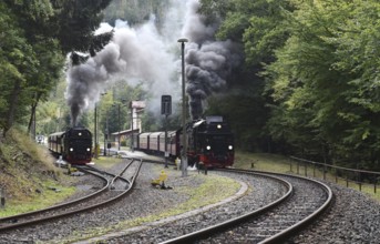 Steam locomotive, steam locomotives double exit on the Harz Narrow Gauge Railway, HSB, in the Harz