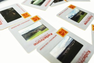 Many framed Kodachrome slides on a light table with magnifying glass, top shot