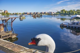 Lake Rummelsburg on the Stralau peninsula in Berlin, Germany