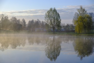 Morning atmosphere, fog at the Fischhof, Tirschenreuth, Upper Palatinate, Bavaria, Germany