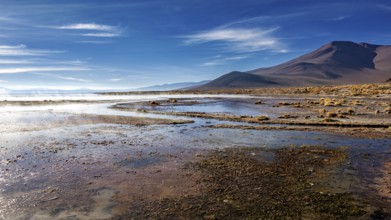 Vast steppe landscape with mountains in the background under a clear sky, The thermal springs of