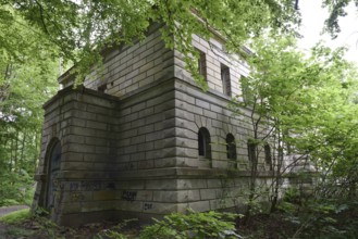Ruin, castle ruin of Dwasieden Castle on Rügen, Mecklenburg-Western Pomerania, Germany