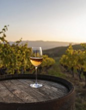 Glass of 10-year-old tawny wine placed on a barrel in a vineyard restaurant, AI generated