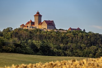 Medieval castle enthroned on a wooded hill above a golden field under a blue sky, Wachsenburg