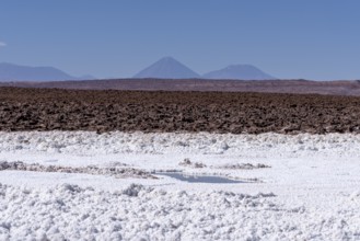 Coloured salt formations at the Lagunas Escondidas de Baltinache, Atacama Desert, Toconao, San