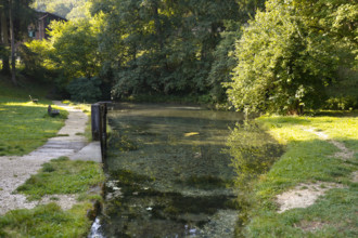 Lauter spring, Große Lauter, karst spring, body of water, park, idyll, meadow, lawn, trees,