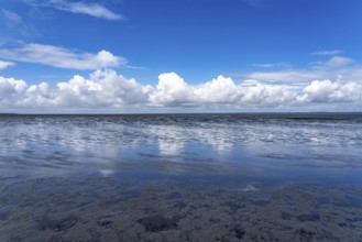 Wadden Sea between the Dutch coast near Eemshaven and the German North Sea island of Borkum, Wadden