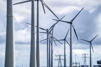 Wind turbines of a wind farm near Eemshaven, Netherlands