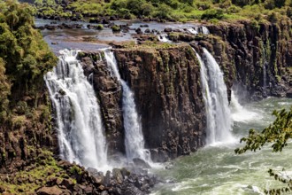 Wide waterfalls cascade over steep cliffs into a bubbling river, The Iguazu Falls between Argentina