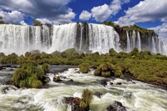 A spectacular waterfall plunges down in the middle of a green and lush landscape, The Iguazu Falls