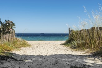 Sandy beach beach, Plage de Tahiti, Saint Tropez, Var, French Riviera, Provence-Alpes-Cote d'Azur,