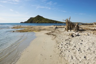 Wild beach, Sentier du littoral, Plage Ranc, Cap Taillat, Saint Tropez, Var, French Riviera,