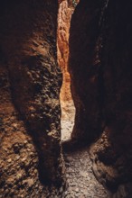Bungle Bungles in Australia in the Outback, Australia