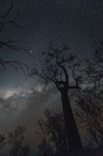 Milky Way Australian Outback, Australia