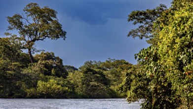 Waves on the river with dense forest while the sky is covered with clouds, The Iguazu River between