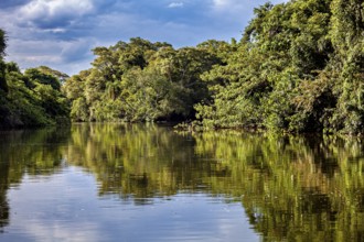 River landscape with dense forest and reflecting water under a cloudy sky, The Iguazu River between