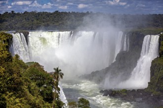 Massive waterfall with rising mist, surrounded by tropical vegetation, The Iguazu Falls between