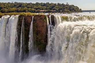 Water flows powerfully over rocks in a tropical environment with dense vegetation, The Iguazu Falls