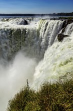 A powerful waterfall cascades over steep cliffs, surrounded by lush greenery, The Iguazu Falls