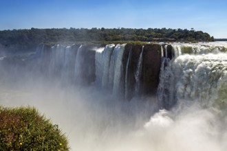 Spectacular view of a waterfall with heavy fog and green banks under a blue sky, The Iguazu Falls