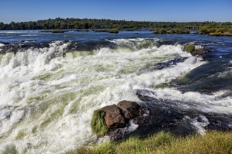 Rushing river with foaming water and rocks, surrounded by grasses under a blue sky, The Iguazu