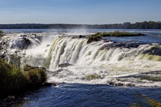 Wide waterfall with foaming water and grasses on the banks under a clear sky, The Iguazu Falls