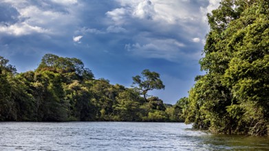 Wide river under a veiled sky, surrounded by dense forests, The Iguazu River between Argentina and