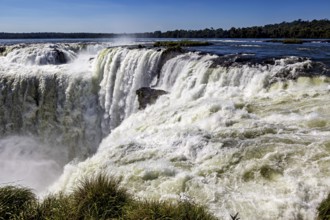 Foaming river water cascades over rocks, surrounded by lush vegetation and clear skies, The Iguazu