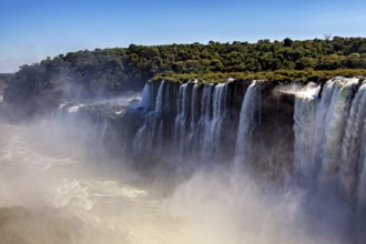 Row of waterfalls creates mist over green cliffs and conveys a peaceful atmosphere, The Iguazu