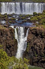 Waterfalls cascade over steep cliffs into a river surrounded by dense trees and plants, The Iguazu