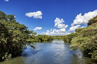 Lushly overgrown river course under a sky full of white clouds and blue, The Iguazu River between