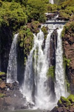 Waterfall gurgling over moss-covered rocks, surrounded by a steep landscape, The Iguazu Falls
