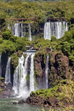Diverse waterfalls embedded in the forest with green vegetation, The waterfalls of the Iguazu