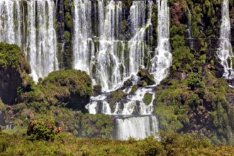 Close-up of lush moss-covered waterfalls and vegetation, The Iguazu Falls between Argentina and