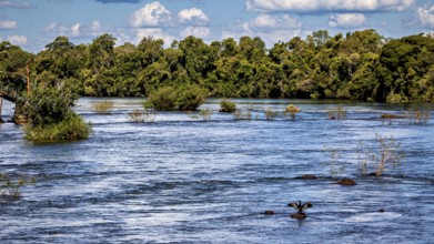 Wide river with trees along the riverbed and cloudy sky, The Iguazu River between Argentina and