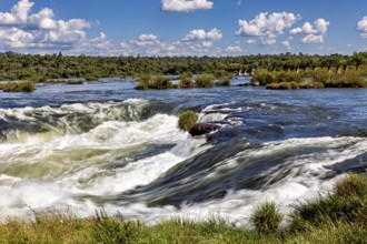 Powerful waterfall riverbed with surrounding trees and blue sky, The Iguazu River between Argentina