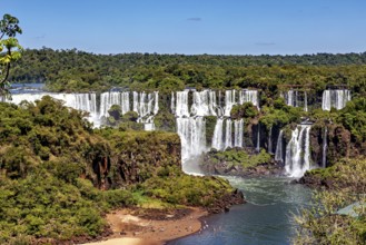 Lush waterfalls in a dense forest landscape with clear skies, The Iguazu Falls between Argentina