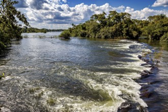 Fast flowing river with rapids surrounded by trees under a cloudy sky, The Iguazu River between
