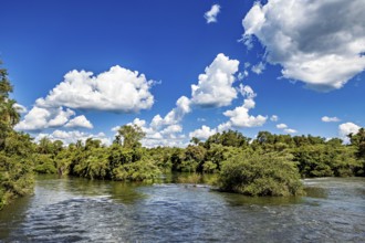 Calm river with lush trees and white clouds in a bright blue sky, The Iguazu River between
