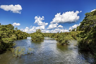 Wide river with dense treetops and cloud formations in the blue sky, the Iguazu River between