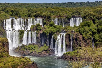 Panoramic view of lush waterfalls amidst dense vegetation, The Iguazu Falls between Argentina and