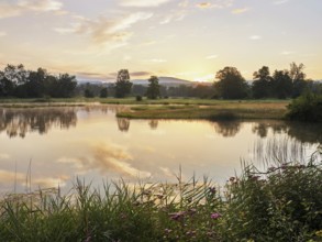 Morning atmosphere at a pond in the Schoren nature reserve, Mühlau, Freiamt, Canton Aargau,